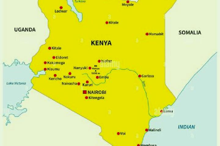 Blackjack Bonus Wheel 1000 slot game