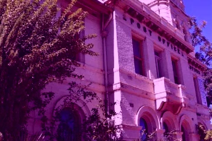 Brood of Gods slot