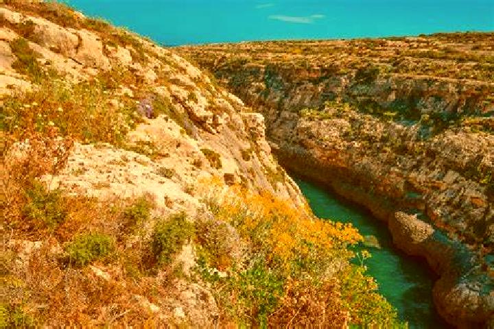 Capybara Bar slot game
