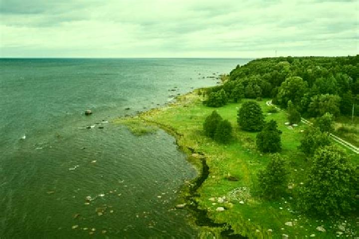 Champions of the Colosseum: Crixus the Impervious slot game