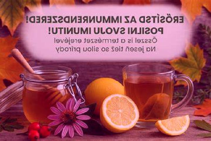 Fairyland Empire slot machine