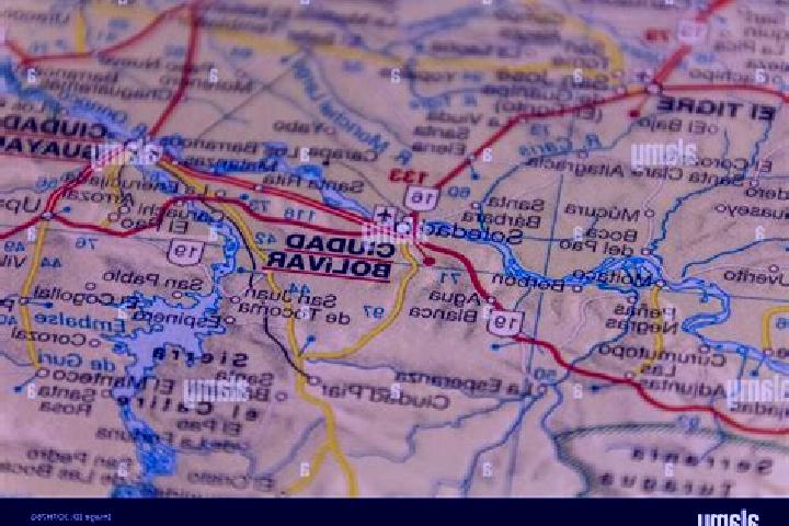 Forest Ant slot machine