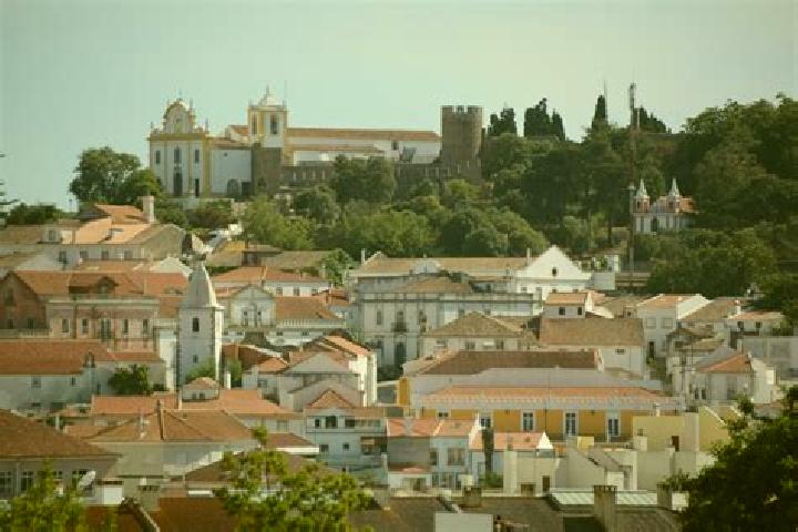 Knock The Mouse online slot