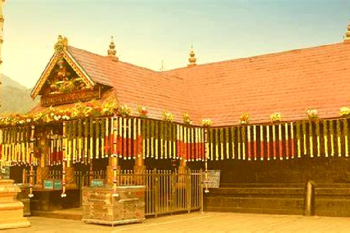 Mega Player slot