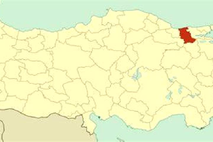 Pearl Respins online slot
