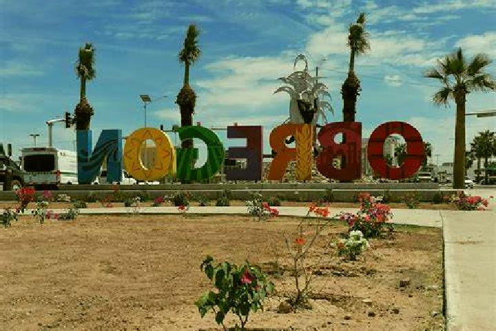 Roadkill slot machine