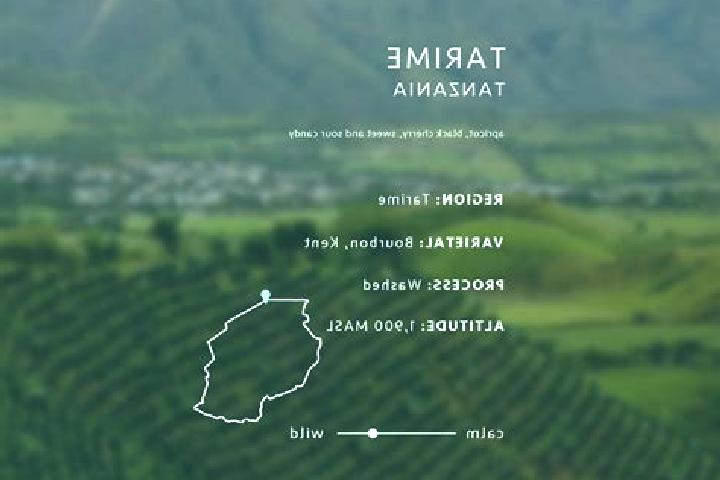 Scarytale Princess slot machine