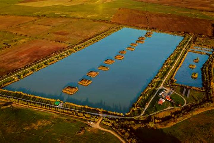 Twinkle Star slot game