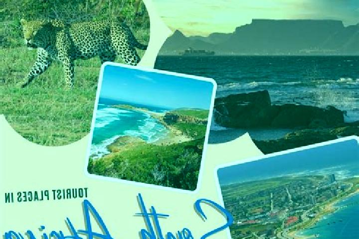 Wild Stock slot