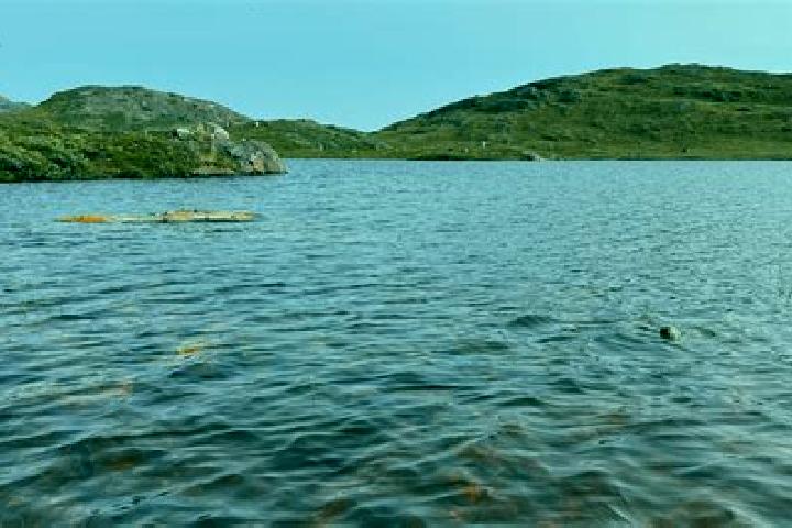 Wonder Woman Gold slot machine